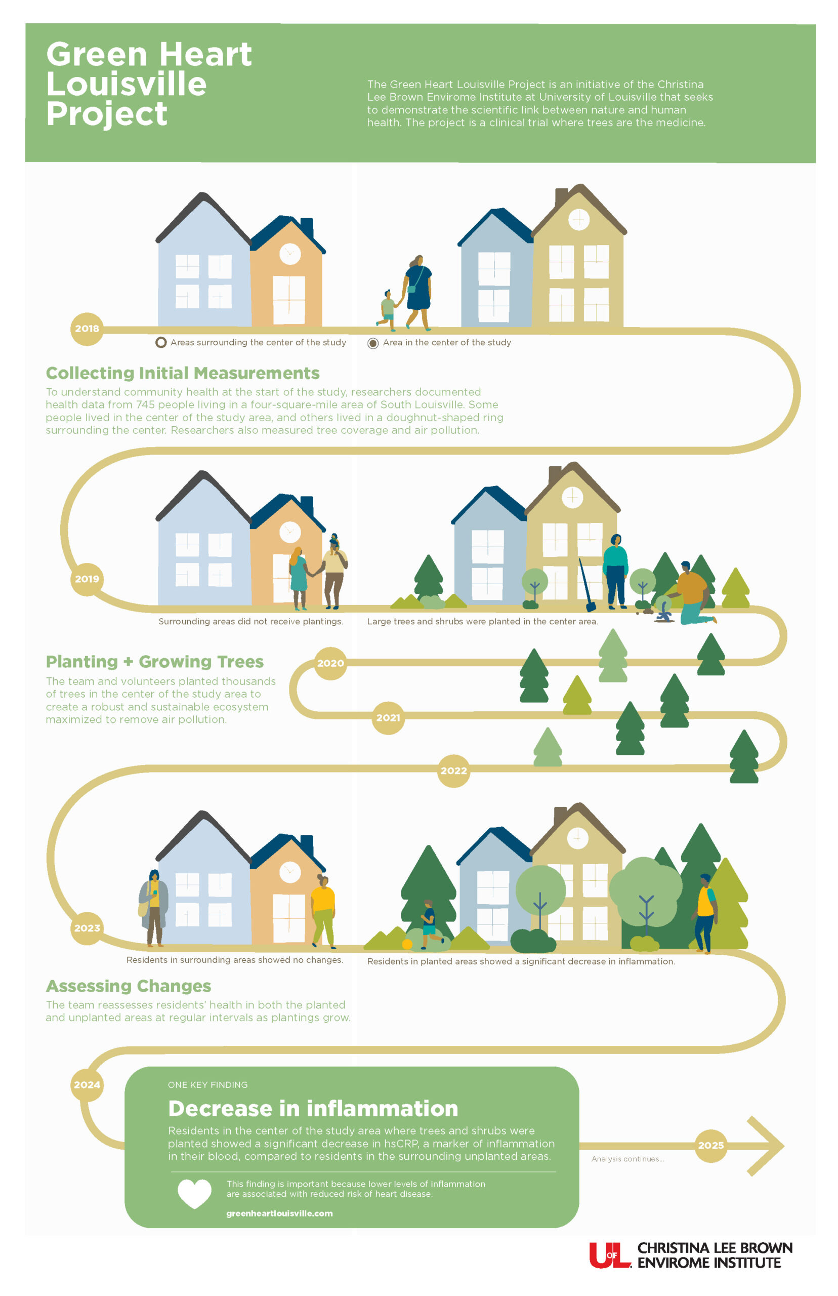 Green Heart Louisville Project Infographic. 2018-2019; Collecting initial measurements. 2019-2023; Planting and growing trees. 2023; Assessing changes. 2024-and on; Key findings: Decrease in inflammation.